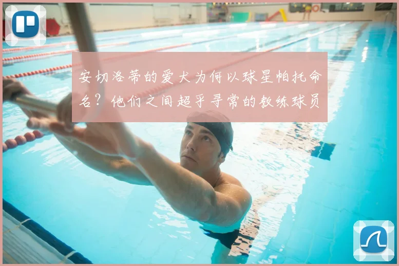 安切洛蒂的爱犬为何以球星帕托命名？他们之间超乎寻常的教练球员情谊大揭秘
