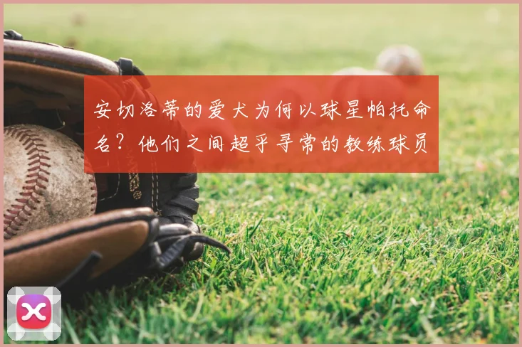 安切洛蒂的爱犬为何以球星帕托命名？他们之间超乎寻常的教练球员情谊大揭秘